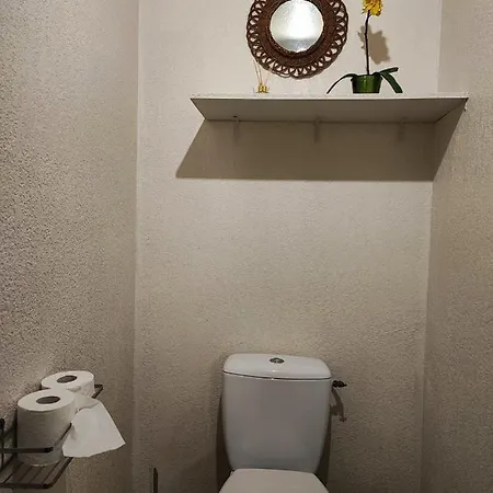 דירה Le Bokeh - Face A La Cite Medievale קרקסון