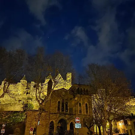 Le Bokeh - Face A La Cite Medievale דירה קרקסון