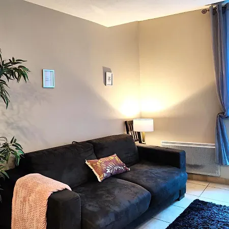 Le Bokeh - Face A La Cite Medievale קרקסון