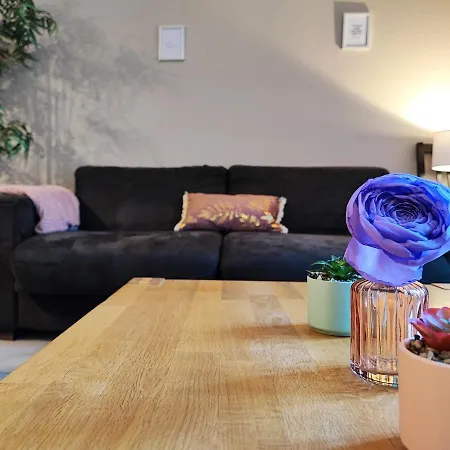 Le Bokeh - Face A La Cite Medievale דירה קרקסון