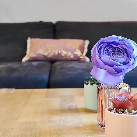 Le Bokeh - Face A La Cite Medievale * קרקסון