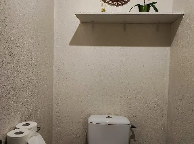 Apartment Le Bokeh - Face A La Cite Medievale Carcassonne